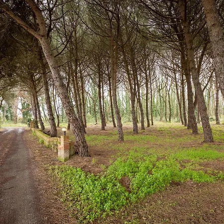 Podere La Grande Quercia Farm stay