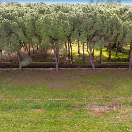 Alloggio per agriturismo Podere La Grande Quercia *