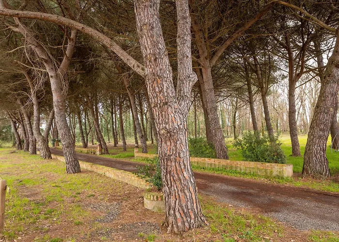 Podere La Grande Quercia ロジニャーノ・マリッティモ