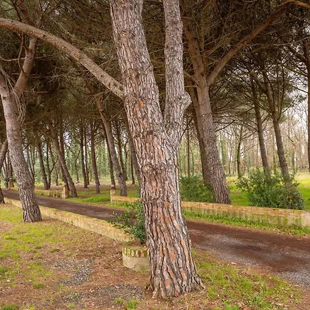 Podere La Grande Quercia Rosignano Marittimo
