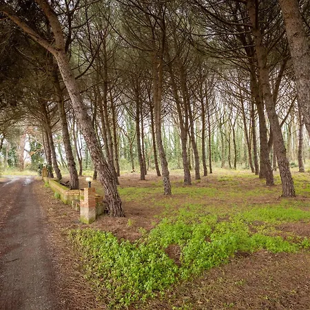 Podere La Grande Quercia Rosignano Marittimo